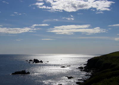 Lizard Point